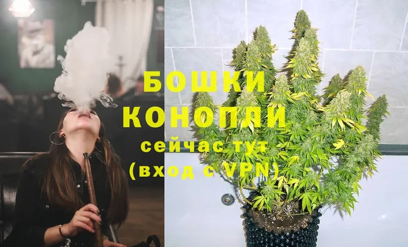 Канабис White Widow  Красавино 